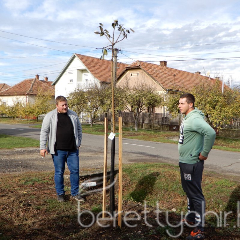 Közösségi faültetés Berettyóújfaluban 77